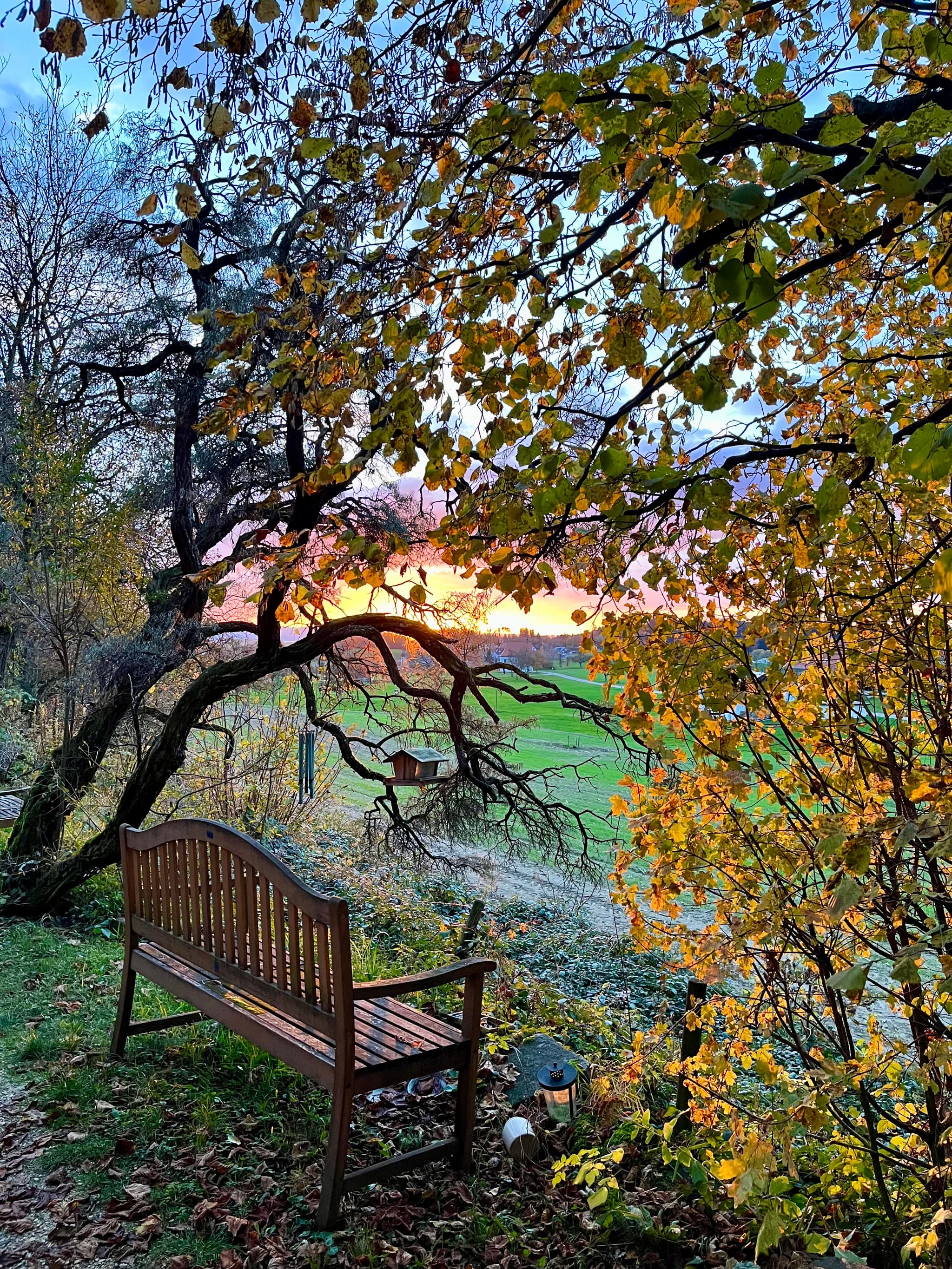 Weitläufiger Garten des Himmelreich mit Blick auf den Bodensee und Bergpanorama im Hintergrund