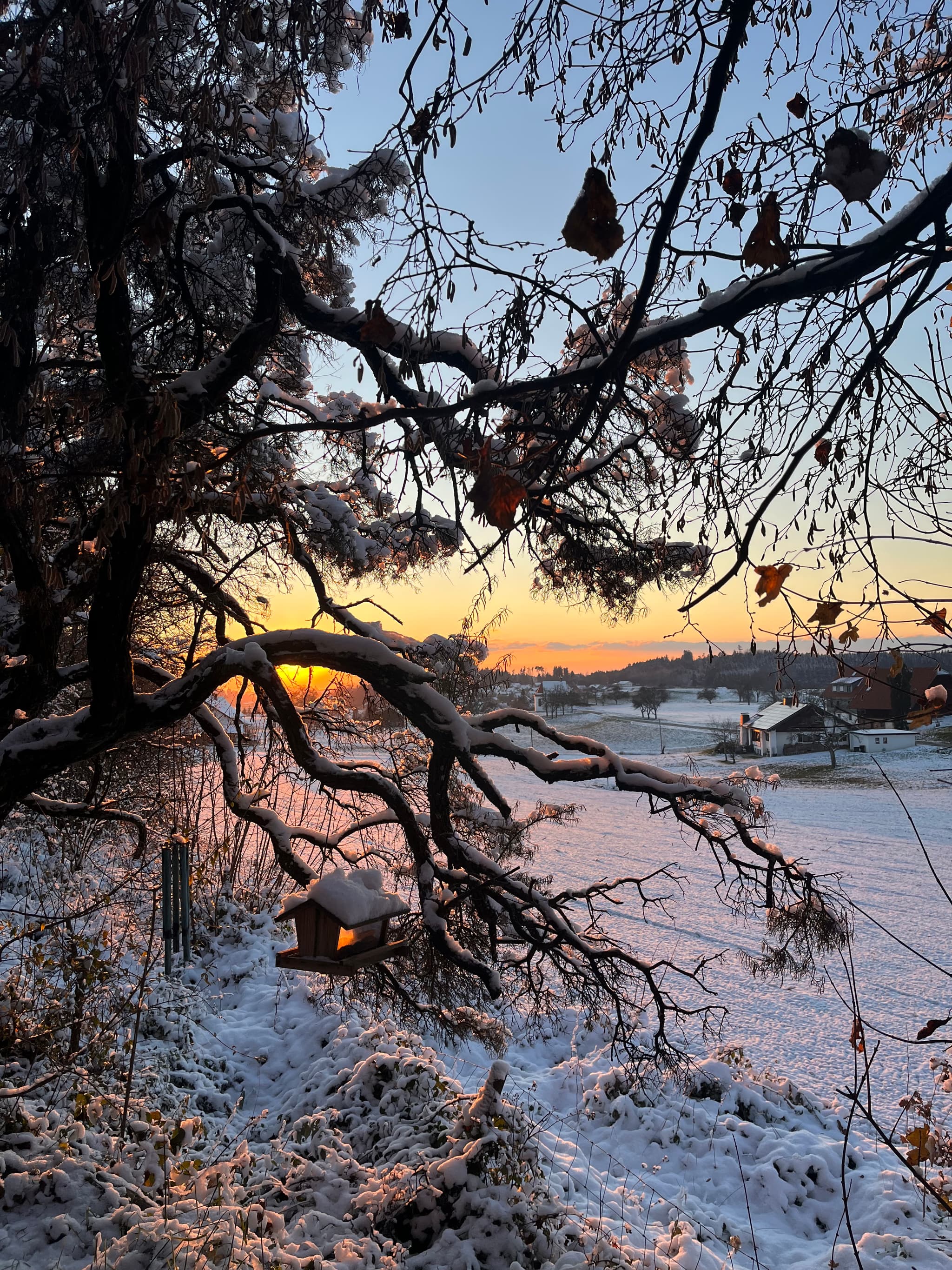 Frühlingshafter Garten mit blühenden Bäumen und entspannender Atmosphäre